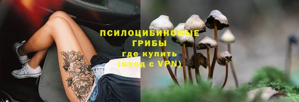 гидра Горно-Алтайск