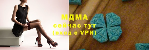 гидра Горно-Алтайск