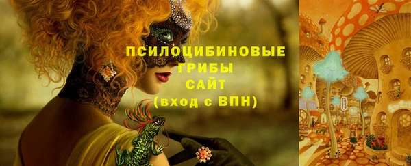 гидра Горно-Алтайск