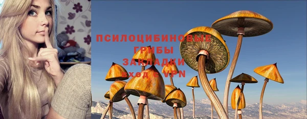 гидра Горно-Алтайск