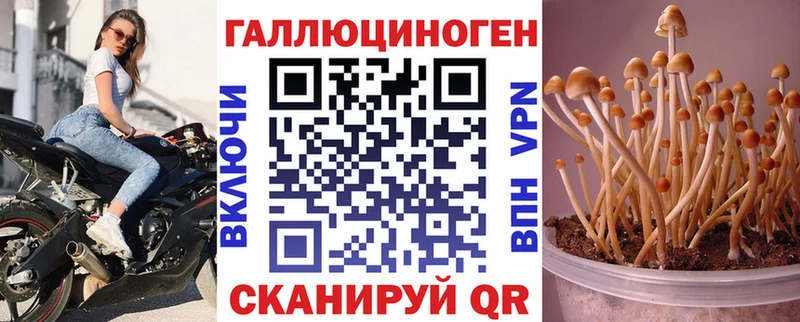 ОМГ ОМГ ссылка  Мценск  Галлюциногенные грибы ЛСД 