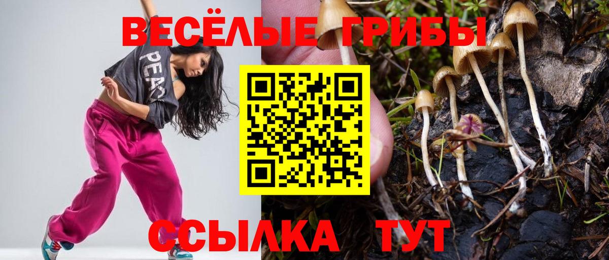 Галлюциногенные грибы прущие грибы Мценск