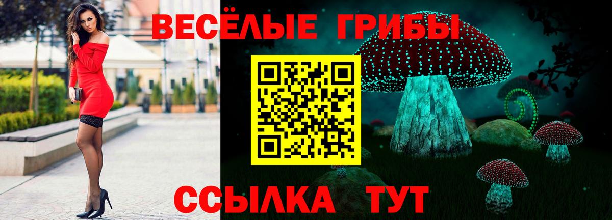 Мценск  Псилоцибиновые грибы прущие грибы  Псилоцибиновые грибы прущие грибы  Вход с VPN 